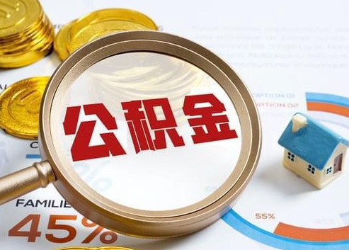 白山2025年政策调整对个人影响综合解析‌